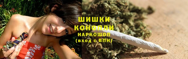трава Арсеньев