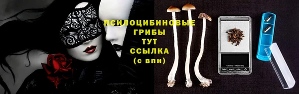 прущие грибы Армянск