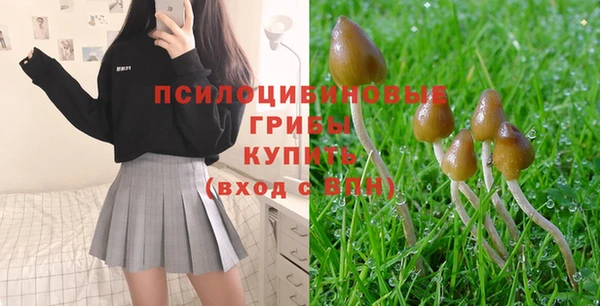 а пвп мука Аркадак