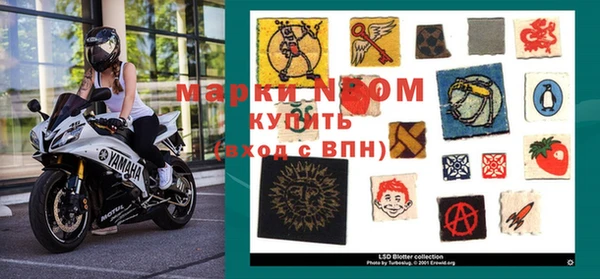 прущие грибы Армянск
