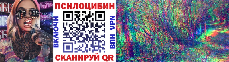 Галлюциногенные грибы Psilocybine cubensis  Белорецк 